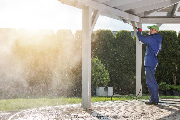 Best Gutter Cleaning  in Clarkton, MO